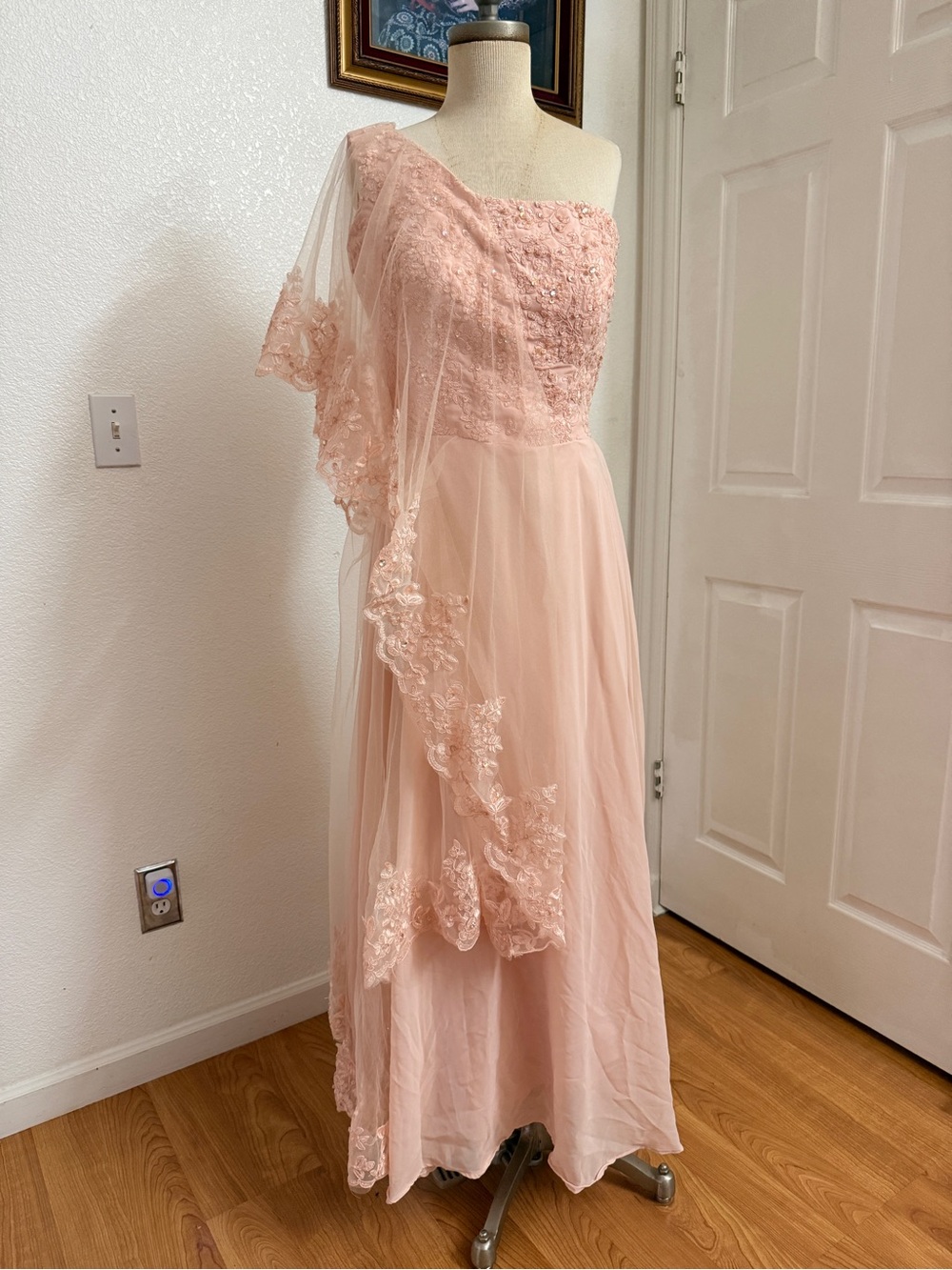 Blush Pink Lace & Chiffon One-Shoulder Evening Gown